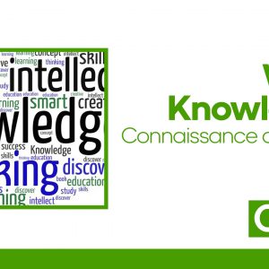 Word Knowledge (Connaissance des mots)